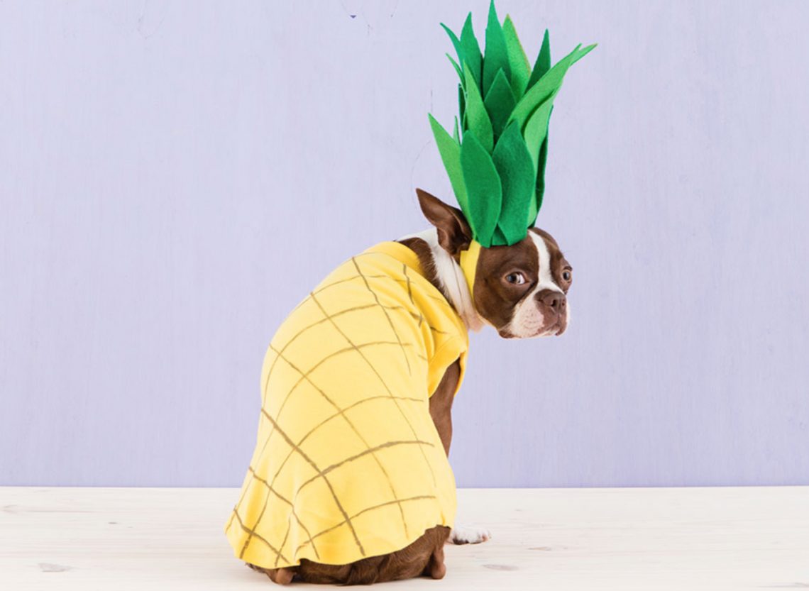 Can Dogs Eat Pineapples? Health Benefits, Side Effects & Tips