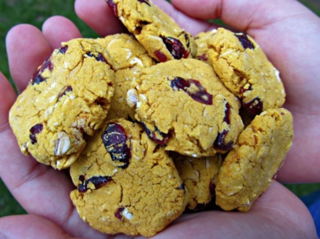 Can Dogs Eat Cherries? 5 Health Benefits & Side Effects