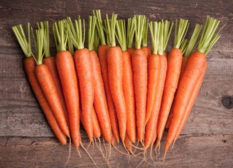 Can Dogs Eat Carrots? 5 Amazing Health Benefits & Side Effects