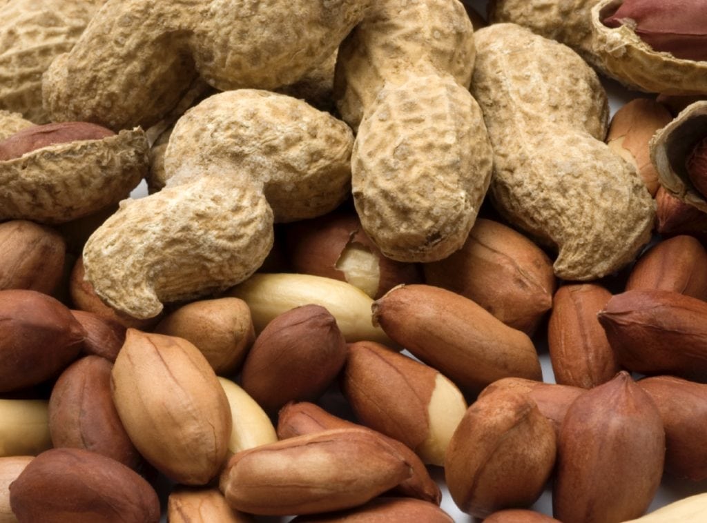 Can Dogs Eat Peanuts? Health Benefits, Risks & Peanut Tips The Smart